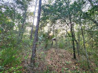 Canyon Swallow Rd LOT 12, Brooksville, FL 34614
