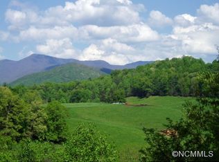 10 Horseshoe Trl, Barnardsville, NC 28709