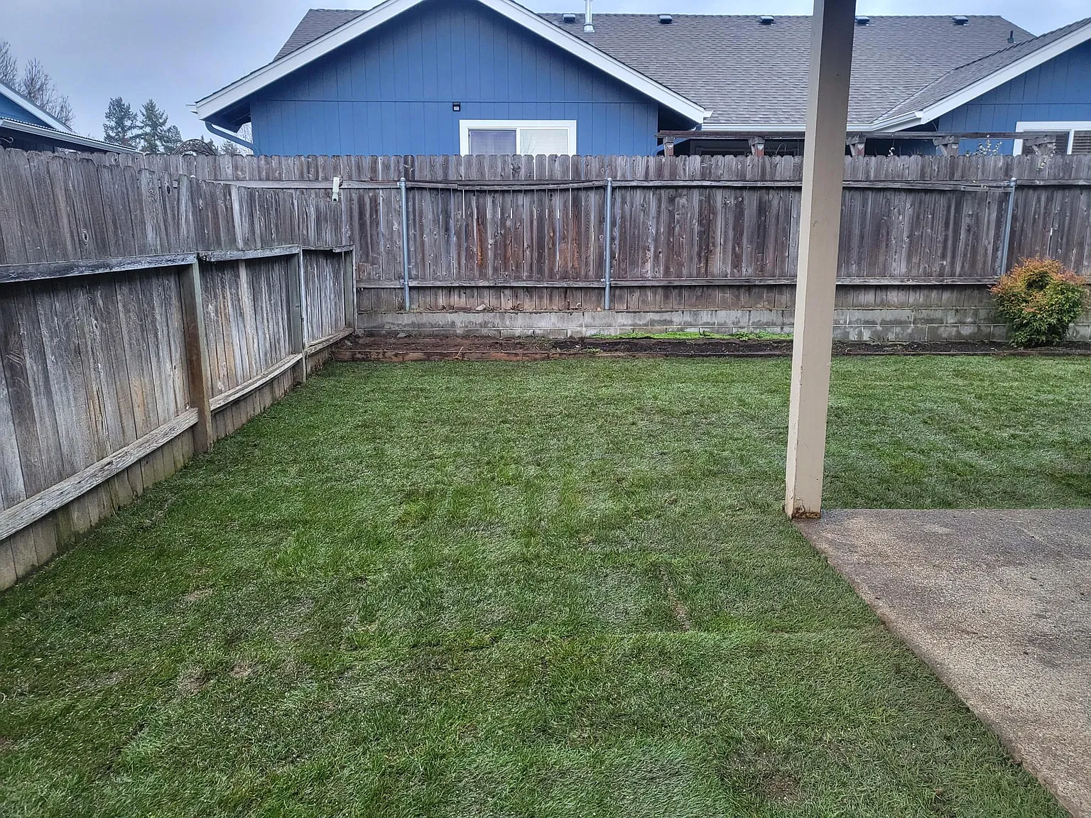 3 bed, 1300 sqft, $1,900 — Photo 3