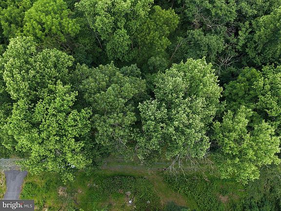 4th image of TRACT 3 52/ Acres Oak Ridge Avenue Trl #10