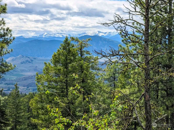 222 FS 3525 Rd Summit Lake, Tonasket, WA 98855