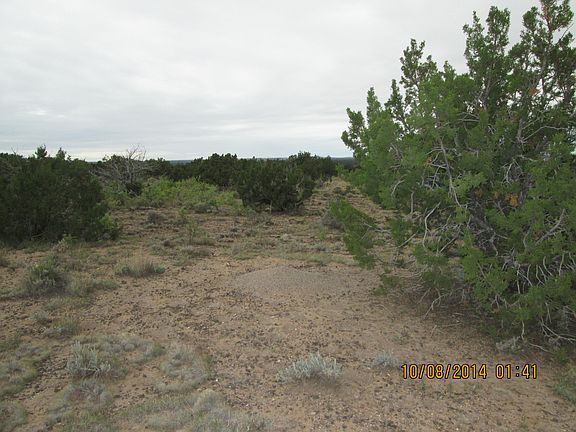 2nd image of 2860 W Critter Pass