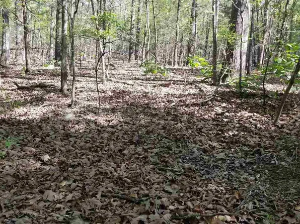 1515 Council Dr, Horseshoe Bend, AR 72512