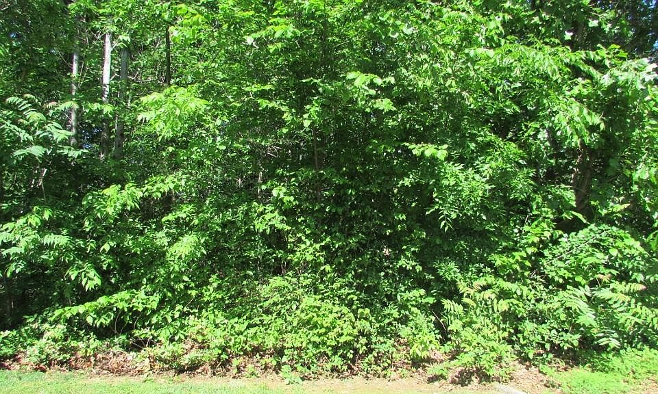 1st image of 619 Emerald Ave Lot 14
