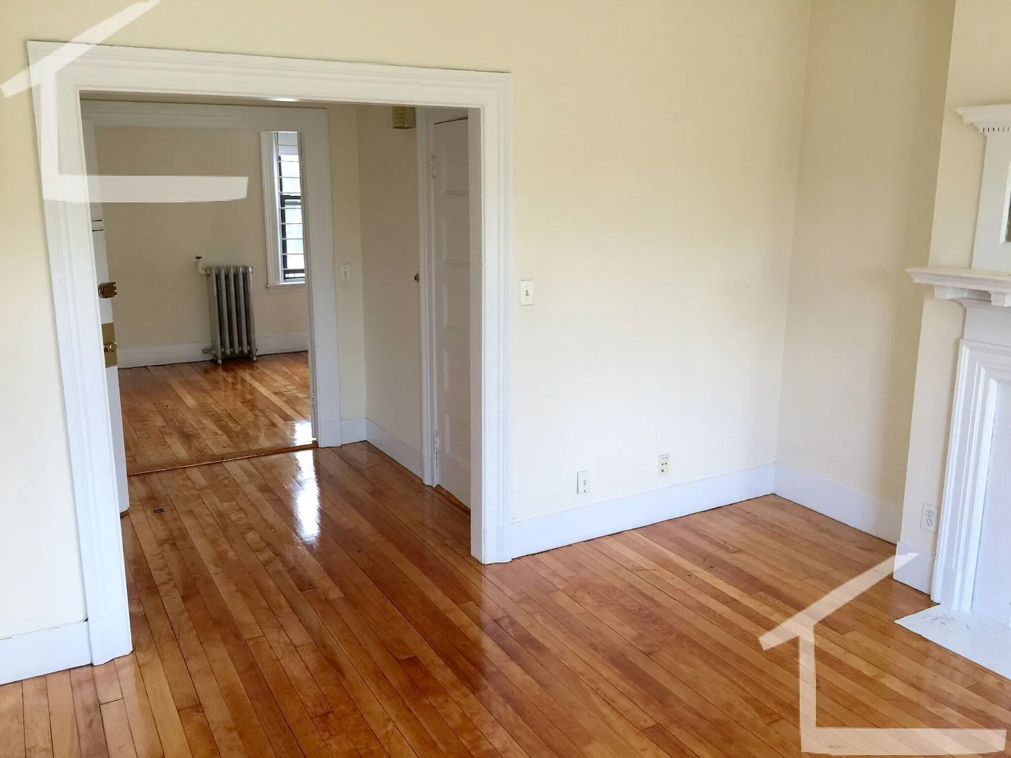 Allston Packard's Corner - One Bedroom — Photo 4