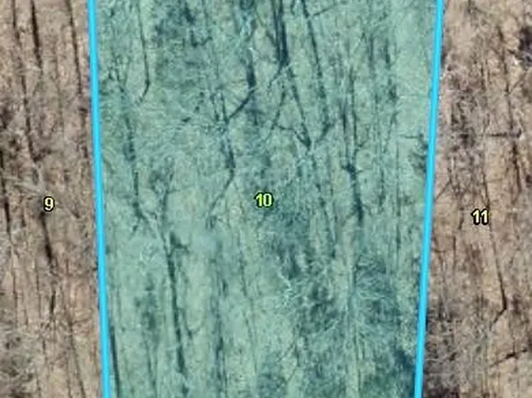 LOT 118 & 119 Apache Ln, Rocky Mount, MO 65072