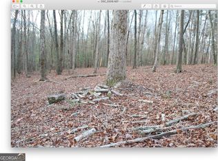 LOT 44 Shoals Ln, Clarkesville, GA 30523