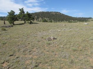 Crazy Horse Trl, Hartsel, CO 80449