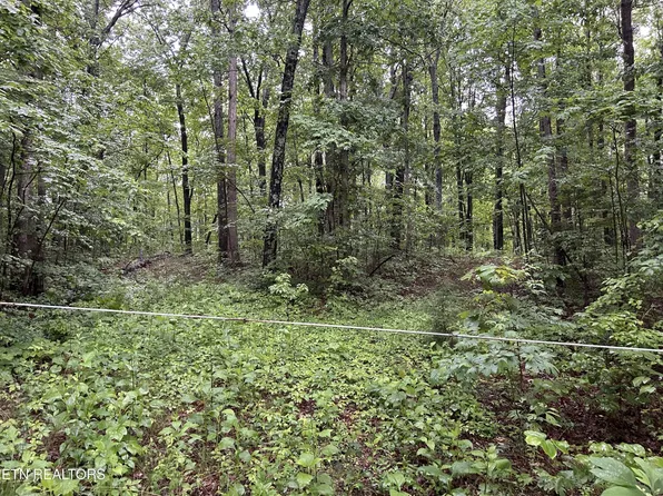 0 Panther Branch Rd, Jamestown, TN 38556