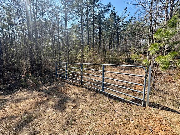 3rd image of 231 County Rd