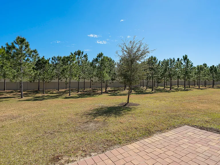 2519 Sweet Viburnum Way — Photo 28
