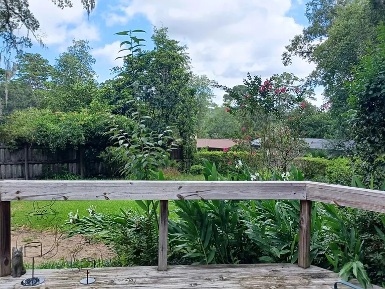 Back Yard and Deck