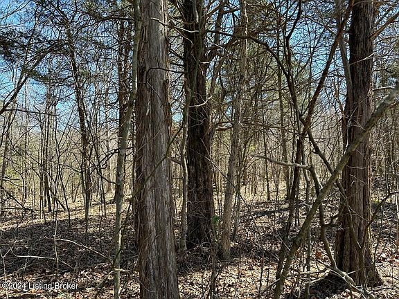 5th image of 976 River Rd