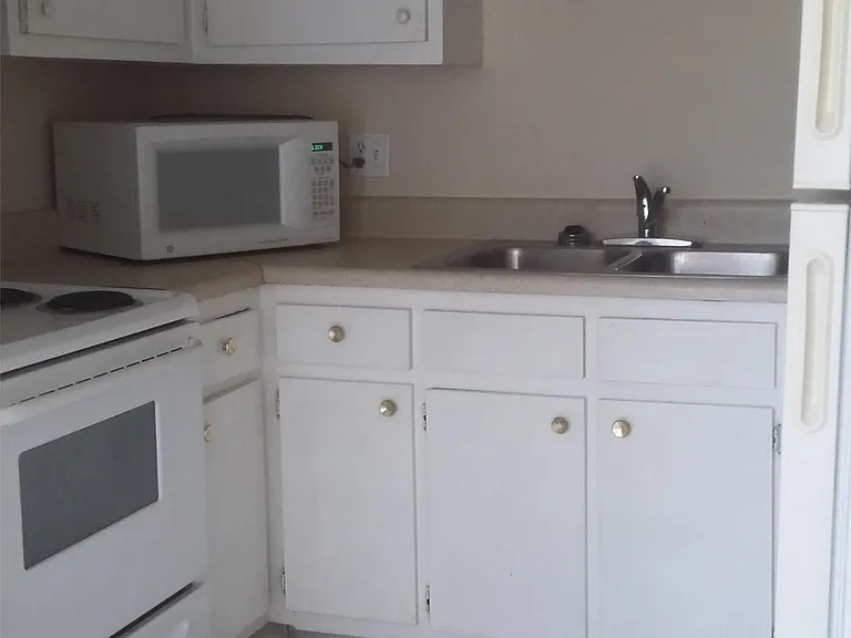 2767 Jackson St (Zivkids) Turtle Run - 6 — Photo 7