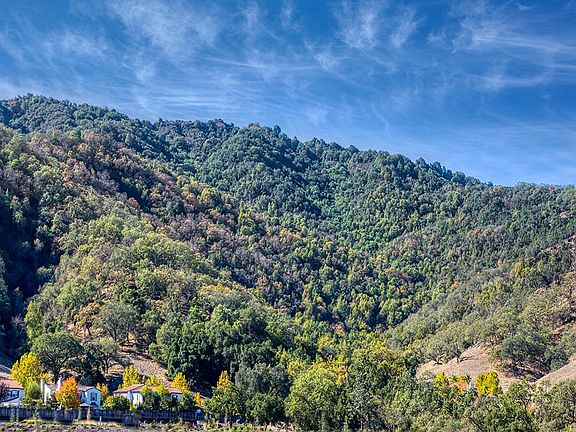 Close to the Gilroy foothills