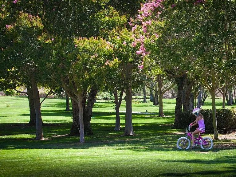 Neighborhood park.