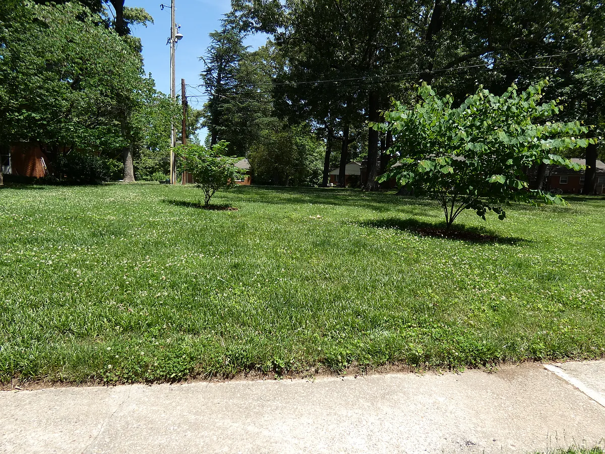 Building Photo - 1206 Pamlico Dr
