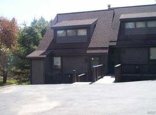 105 Brookline Rd, Ellicottville, NY 14731