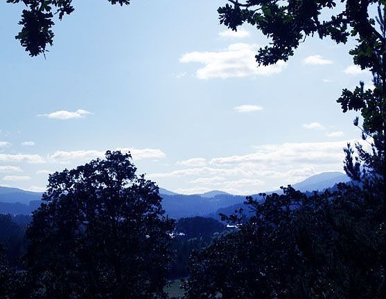 The View