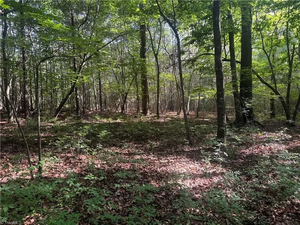 TRACT 3 Dover Church Rd, Seagrove, NC 27341