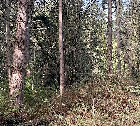 5th image of 0 XXX Hellman Road