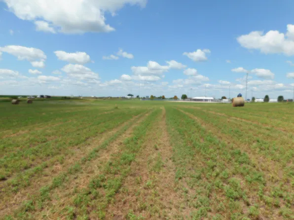 SW 4th St, Ogden, IA 50212