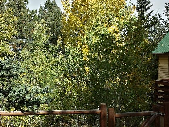 Backyard Fence