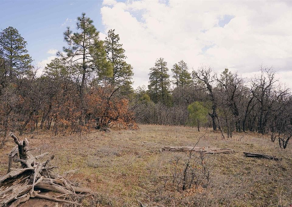 1st image of 2612 Bull Elk Place