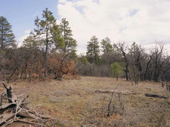2612 Bull Elk Place, Pagosa Springs, CO 81147