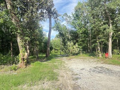 246 McGlon Dr, Wewahitchka, FL, 32465