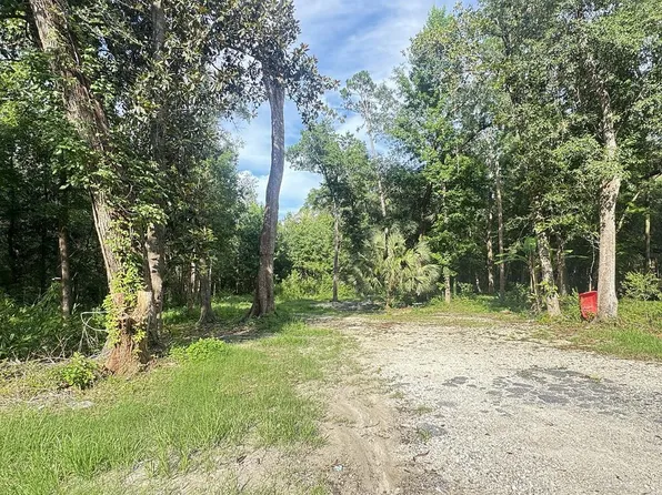 246 McGlon Dr, Wewahitchka, FL 32465