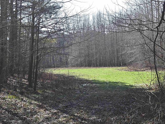 3rd image of 0 Arlie Neely Rd
