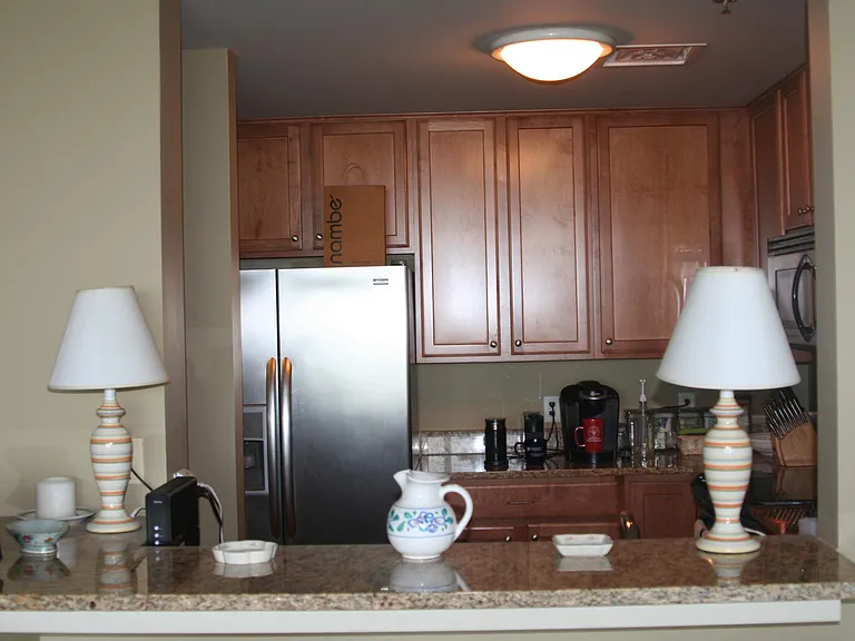 105 Christina Landing Dr #1307 — Photo 14