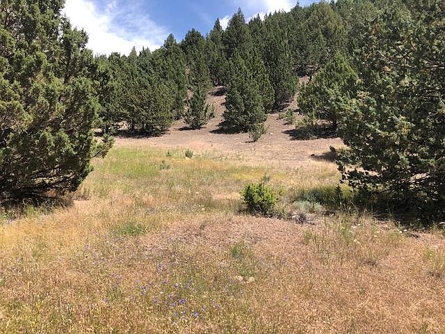 1st image of LOT 704 Patterson Dr