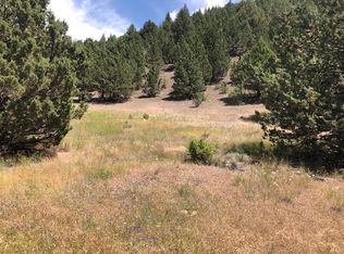 LOT 704 Patterson Dr, Canyon City, OR 97820