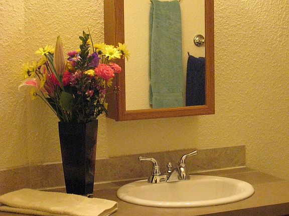 Master Bath Vanity