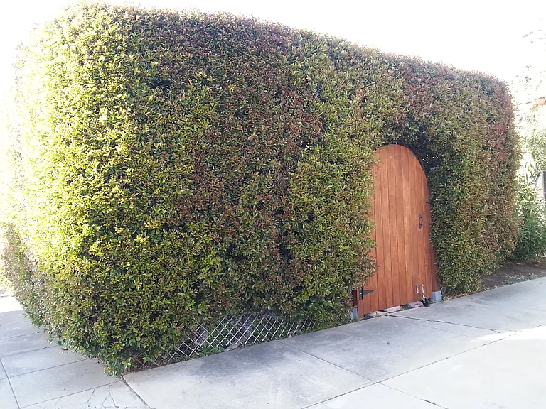3646 Jasmine Ave — Photo 9