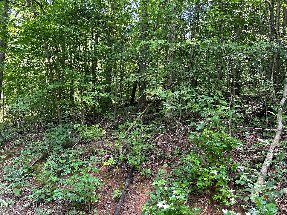 2nd image of Pearl Ln Lot 26