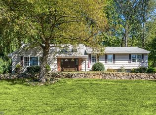 124 Shady Ln, Randolph, NJ 07869