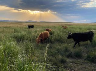 13694 & 13690 Tilford Rd, Sturgis, SD 57785