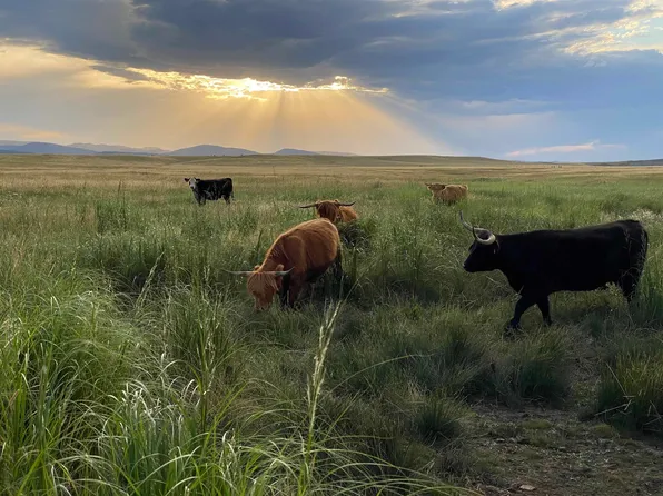 13694 & 13690 Tilford Rd, Sturgis, SD 57785