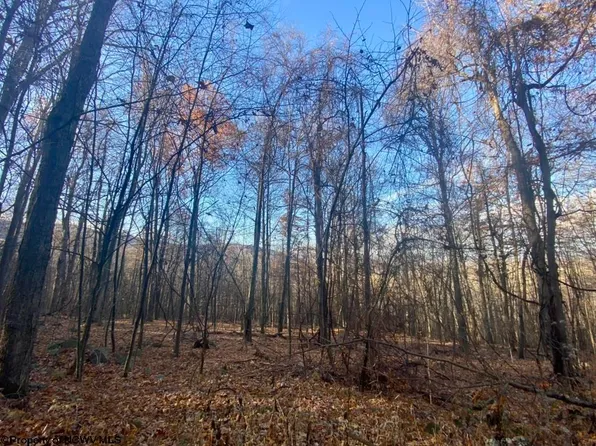 3 Stone Ridge Way, Dryfork, WV 26263