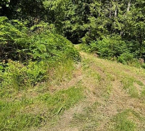 4th image of LOT 3 Palmer Rd