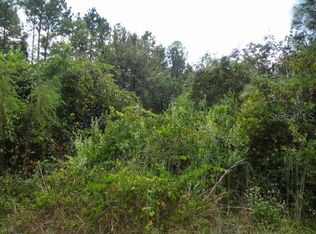 E Bluebell Ave, Eustis, FL 32736