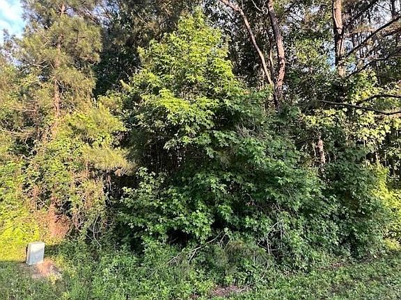 5th image of 108 Peach Creek Dr