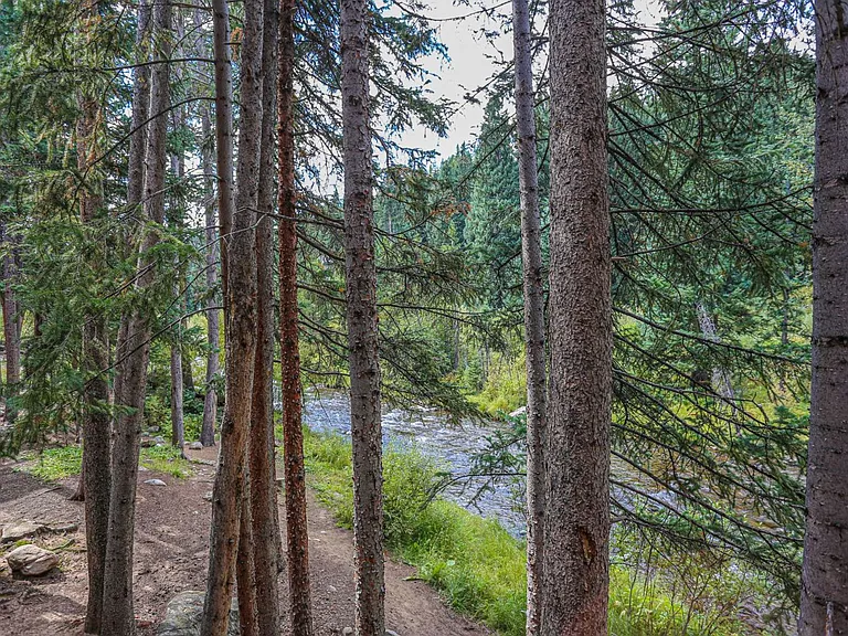 105 Tannenbaum #805 — Photo 4