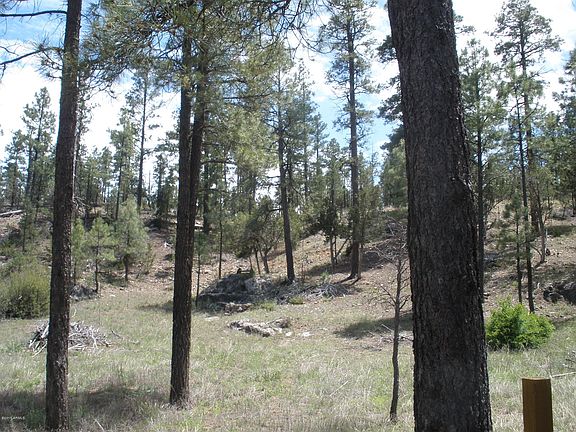 5th image of 1775 E Canyon Drive