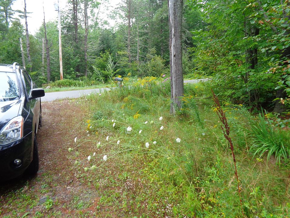 2nd image of 288 George Rd