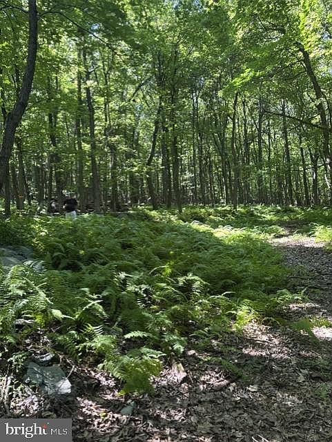 2nd image of 7275 Black Rd