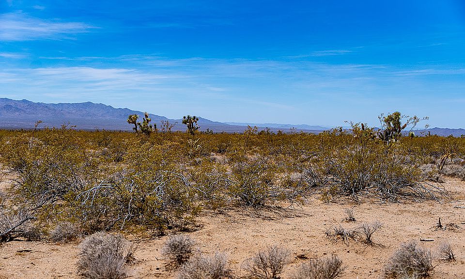 1st image of 1950 E Cholla Dr